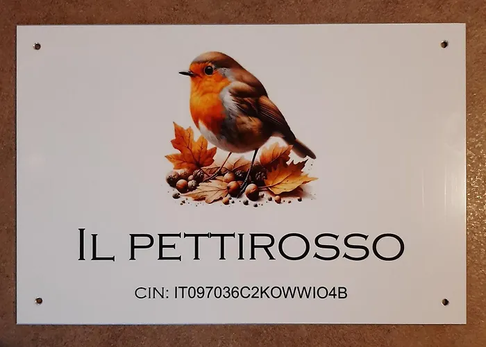 Guest house Il Pettirosso 3*